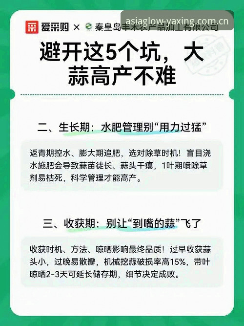 避开这5个坑，亚星中国官方主站APP下载一步到位——来自3000名用户的真实踩雷记录